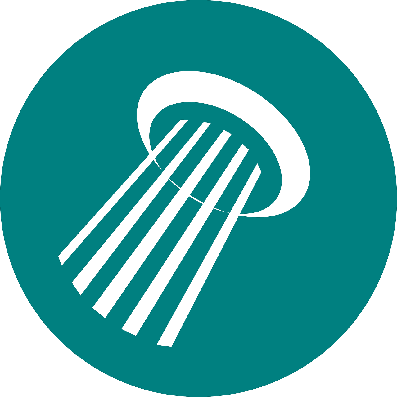 阜陽(yáng)最新駕駛員職位招聘，探索職業(yè)發(fā)展新機(jī)遇