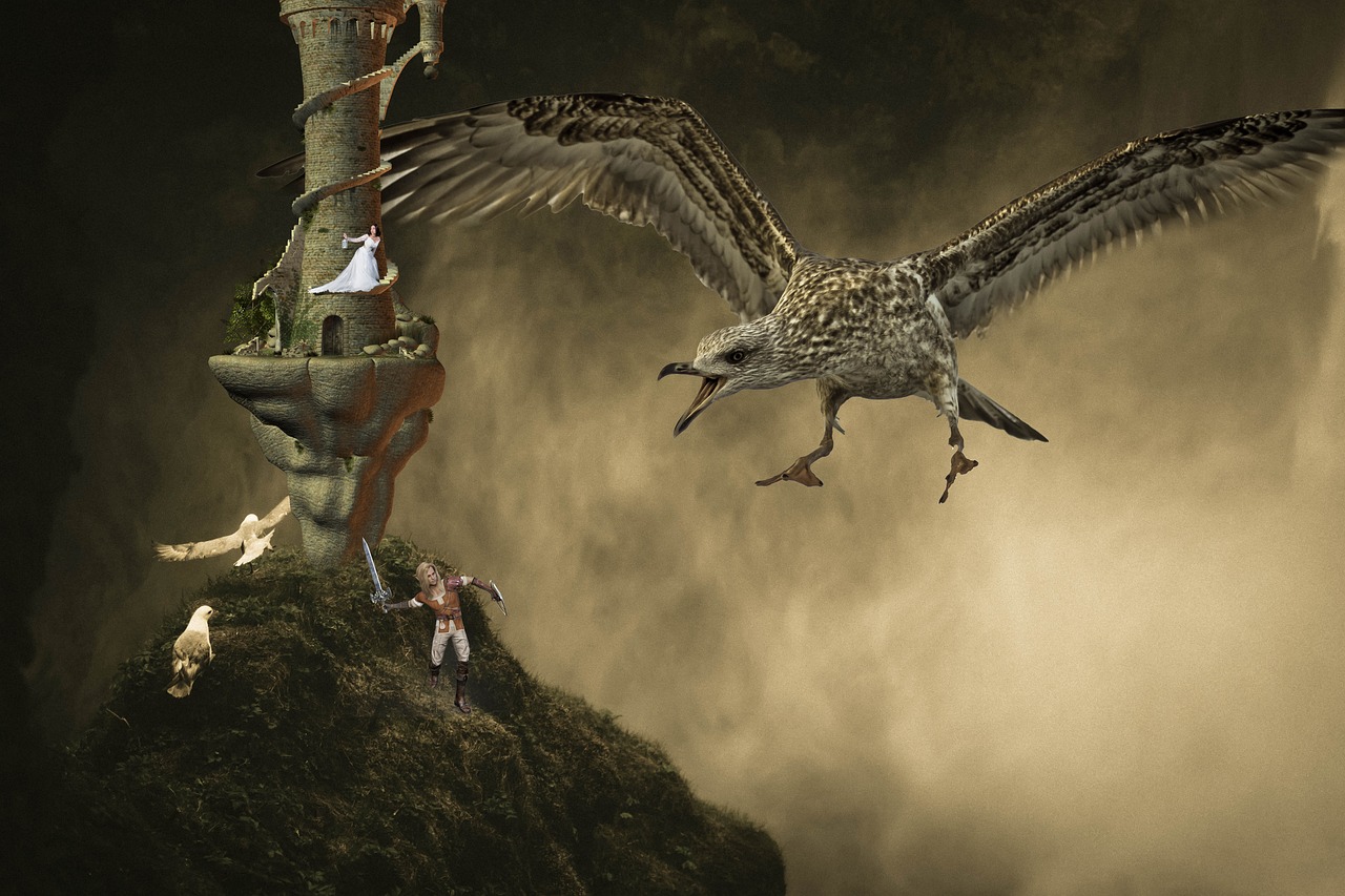 杭州女子神秘失蹤事件最新動態(tài)揭秘