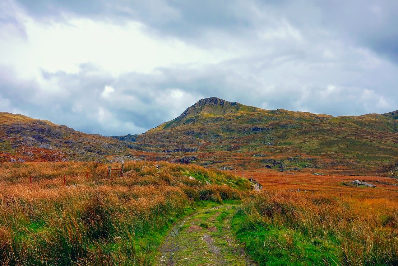 繁榮與發(fā)展中的豐寧，豐寧吧最新資訊匯總