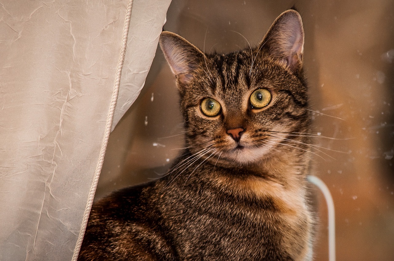 新澳門一碼一碼100準(zhǔn)確新，機(jī)警的167.505