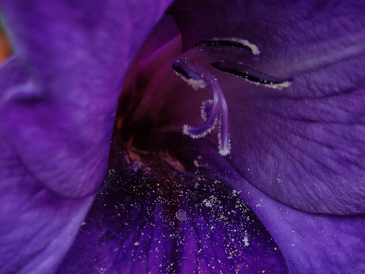 濮陽(yáng)濱湖灣最新動(dòng)態(tài)，城市新熱點(diǎn)蓬勃發(fā)展，最新資訊一網(wǎng)打盡