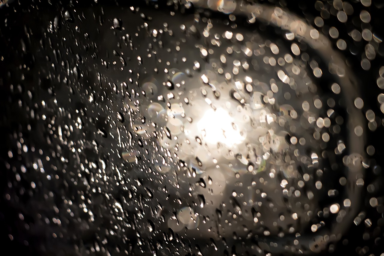 韓國(guó)前總統(tǒng)樸槿惠，從政治舞臺(tái)到生活的轉(zhuǎn)變最新動(dòng)態(tài)