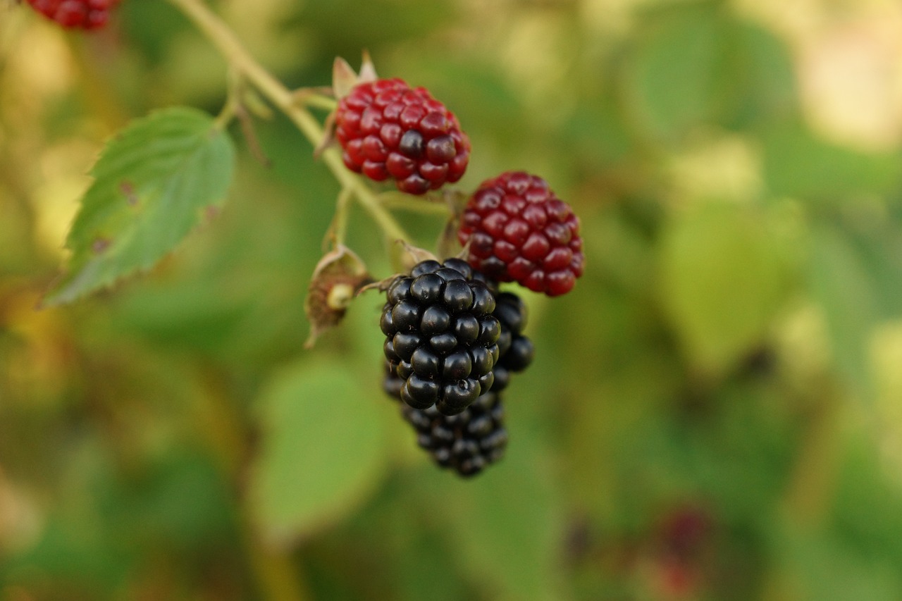 吉林市委書(shū)記趙靜波推動(dòng)高質(zhì)量發(fā)展，深化改革開(kāi)放新征程的最新動(dòng)態(tài)