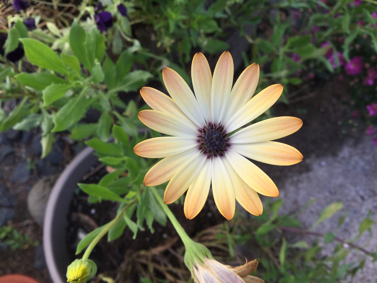 最新汽車資訊概覽，掌握最新汽車動(dòng)態(tài)與趨勢(shì)分析