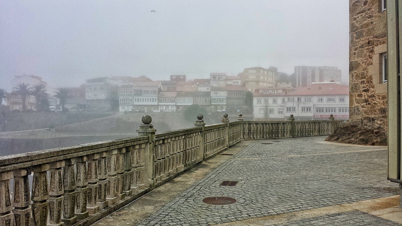 中捷房價動態(tài)，市場趨勢、影響因素與未來展望分析