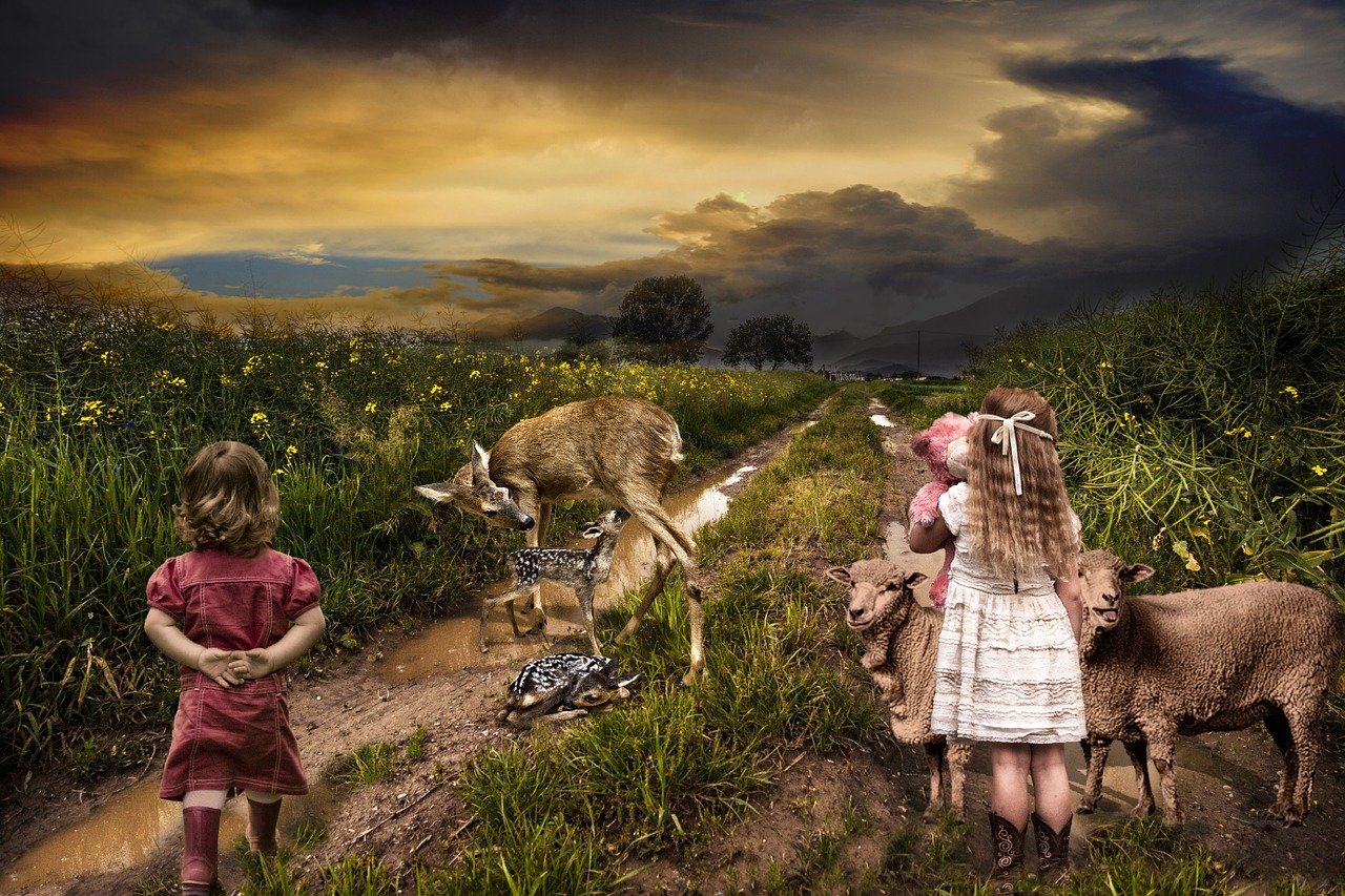 最新大型游戲，未知世界的奇幻探險(xiǎn)之旅