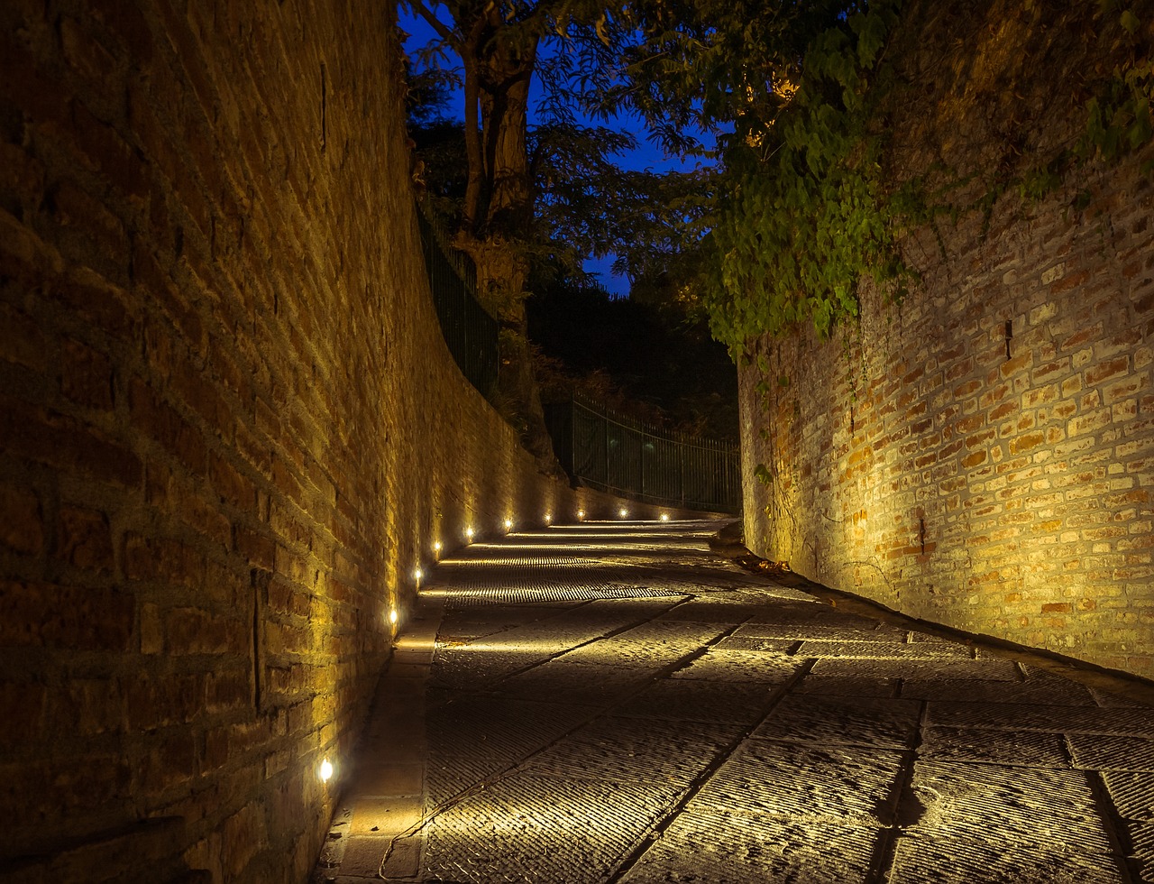 湖南邵陽(yáng)明星，文化之路的璀璨光芒