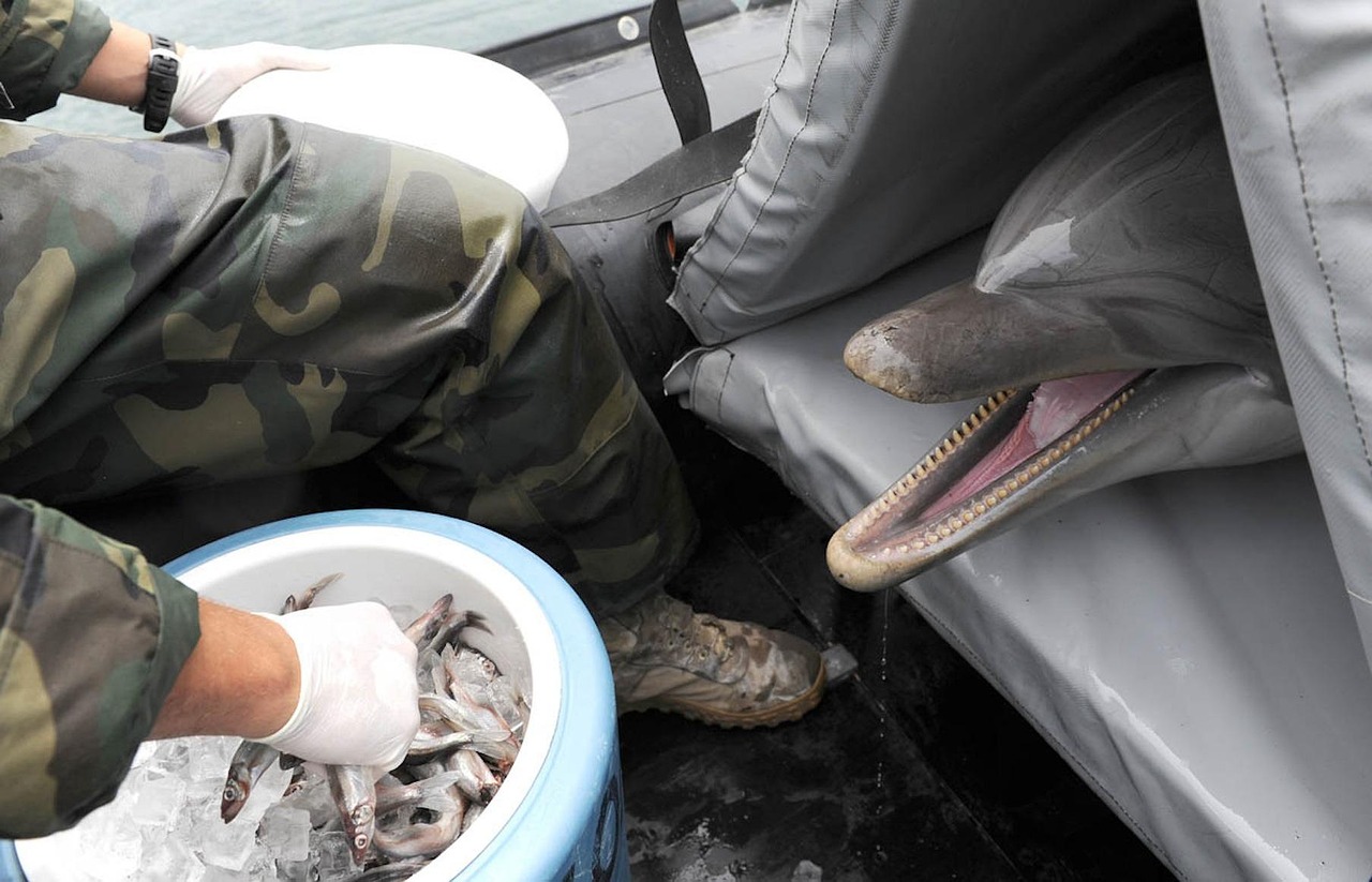 月餅熱潮來襲，市場熱鬧期待與新品上市動態(tài)