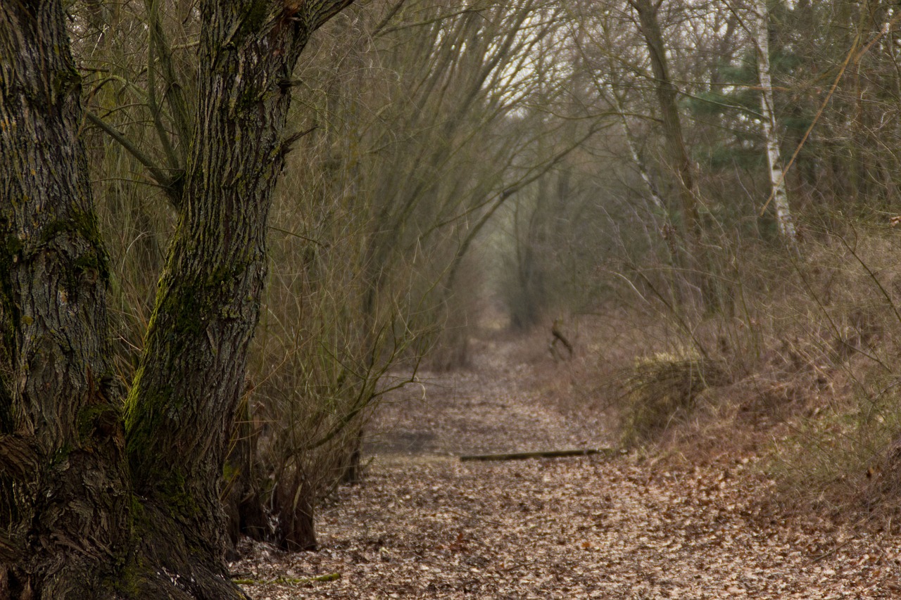 掌握最新租房資訊，洞悉市場(chǎng)趨勢(shì)動(dòng)態(tài)