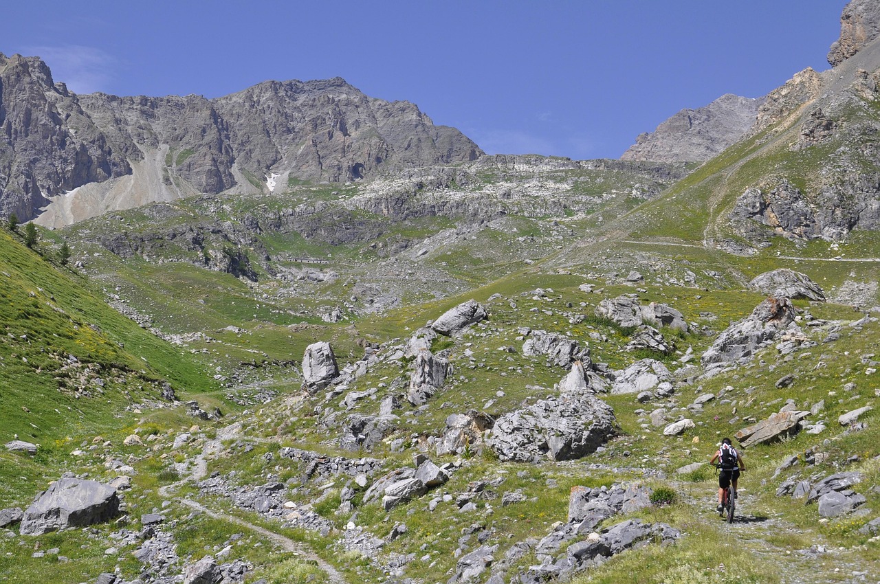 河北保定順平最新資訊概覽，順平地區(qū)動(dòng)態(tài)更新速覽