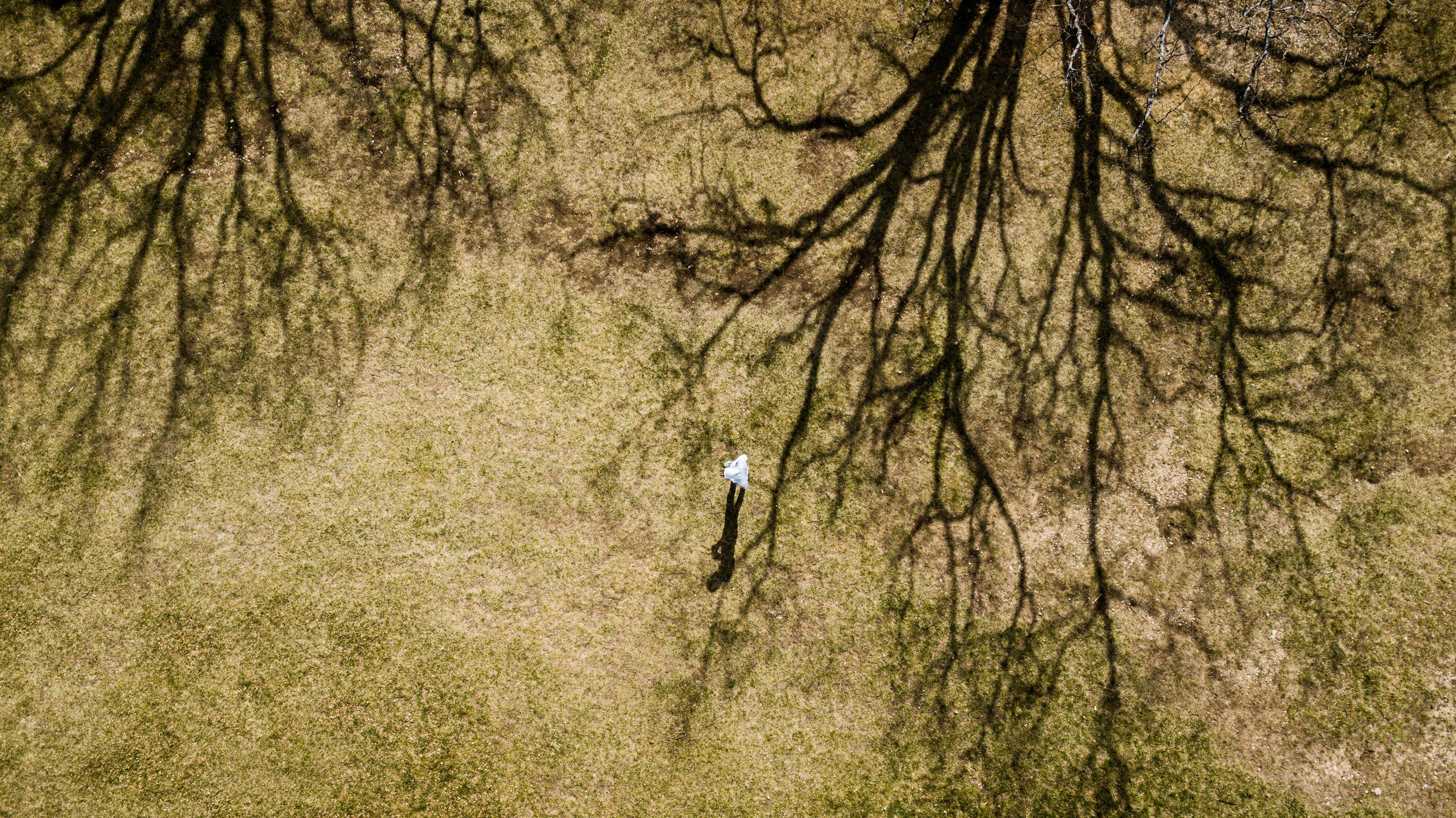 水果姐最新動(dòng)態(tài)揭秘，時(shí)尚果籃的新篇章探索！