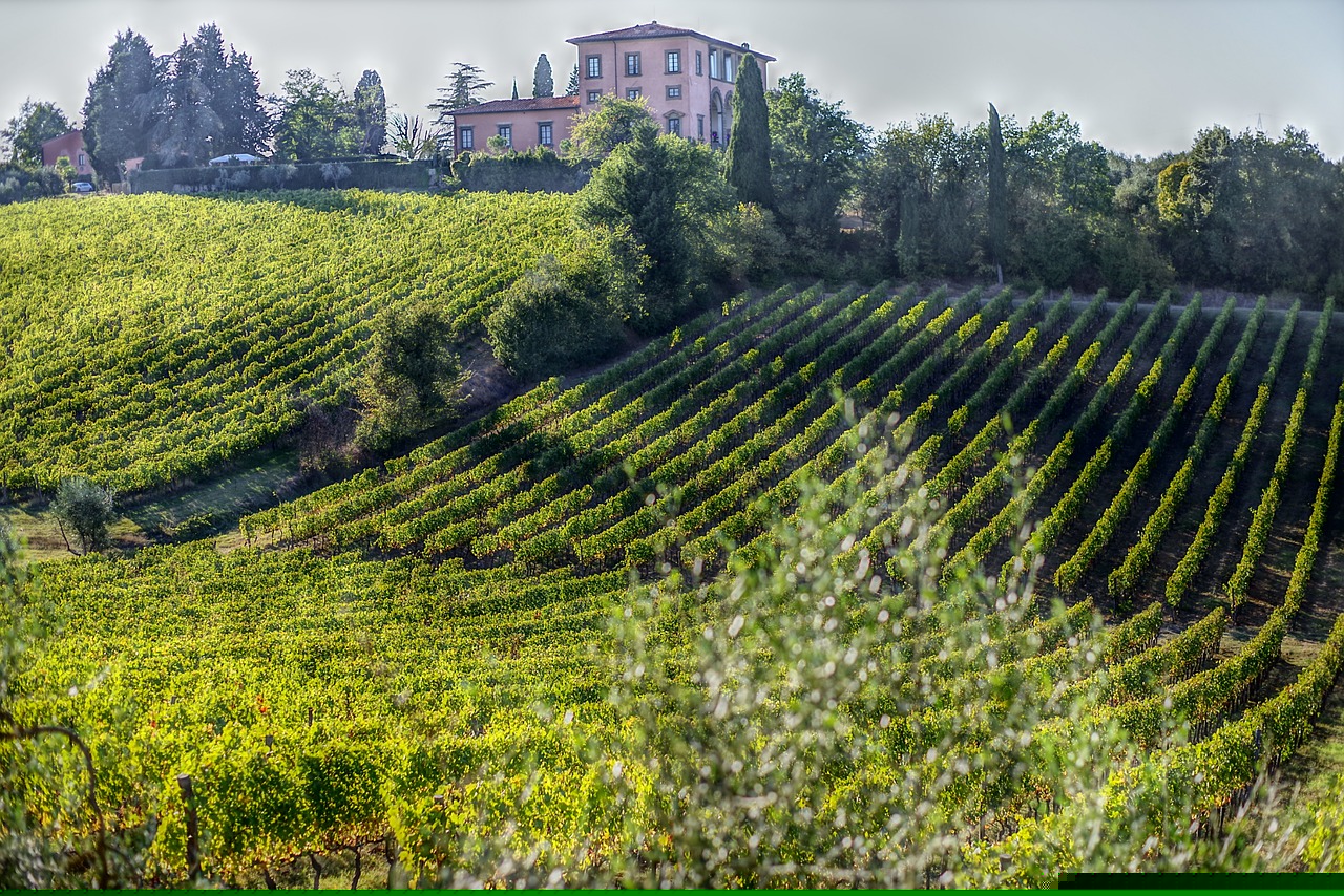 游仙區(qū)東林鄉(xiāng)最新規(guī)劃發(fā)布，描繪鄉(xiāng)村發(fā)展新藍(lán)圖