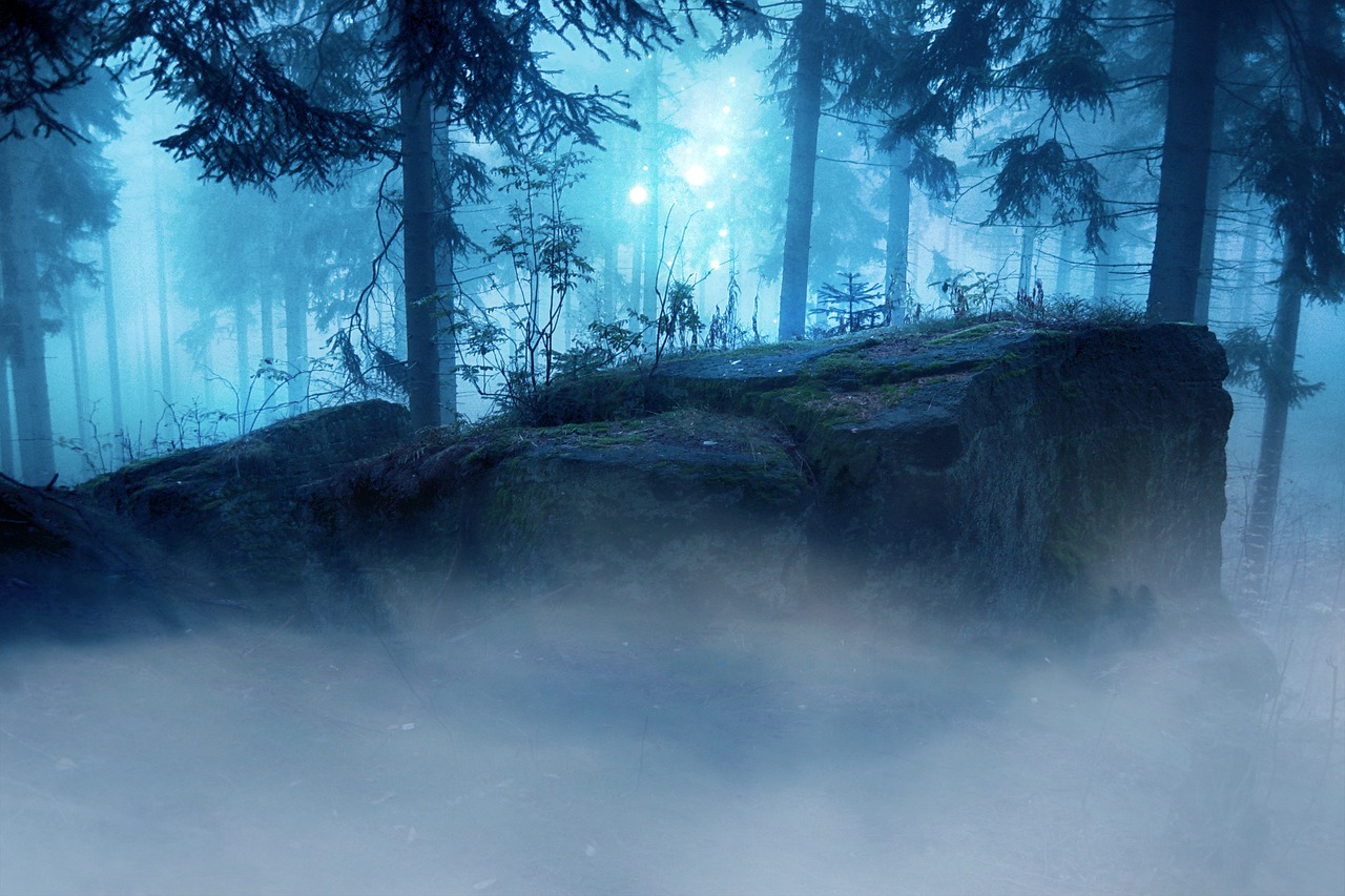 夏木番外篇，時(shí)光秘密探尋記