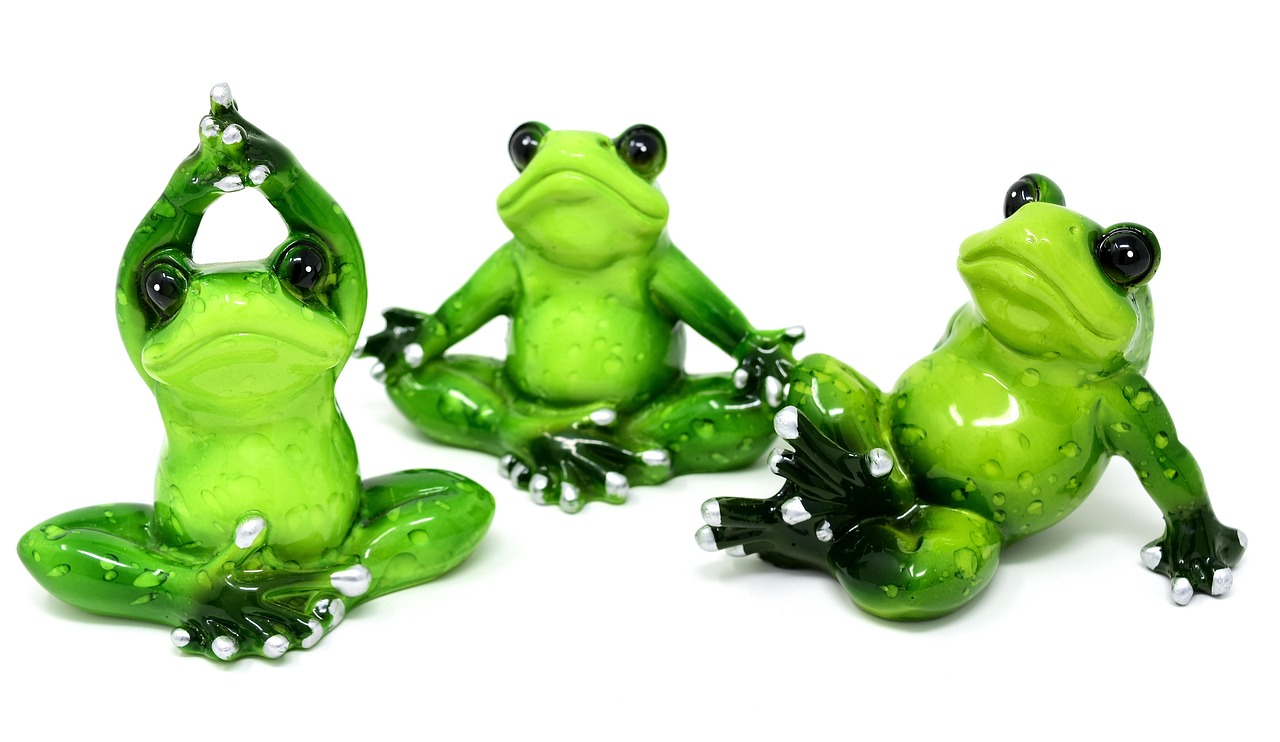 兩棲蛙蛙最新版下載，探索與體驗最新版本的魅力