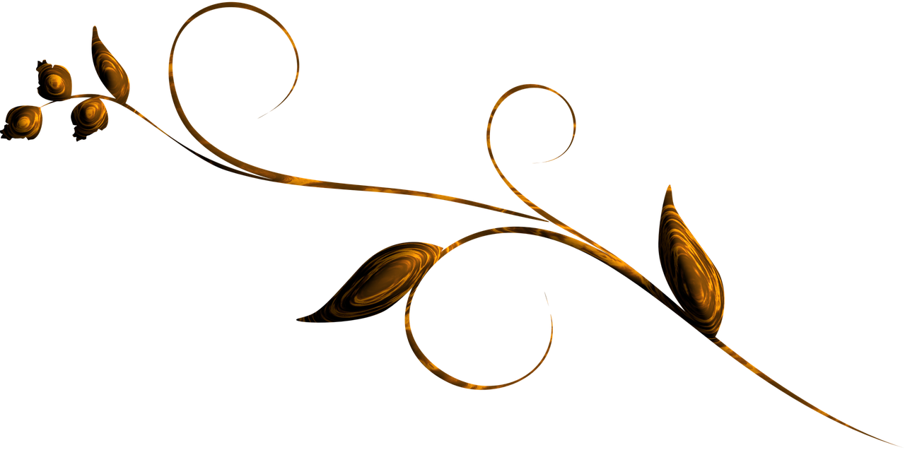 藍(lán)雨希 第15頁