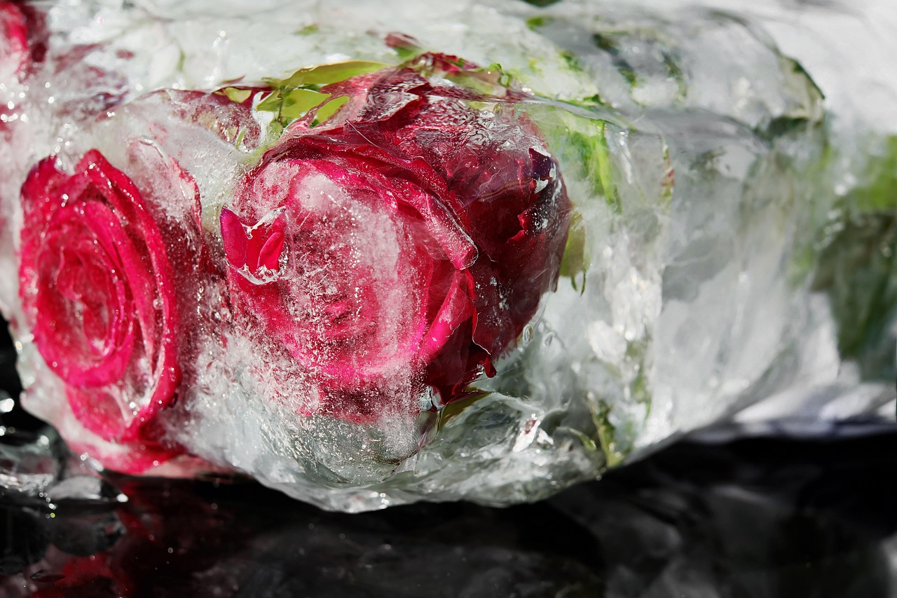 情侶頭像一人一半動(dòng)漫，愛(ài)的象征與個(gè)性展現(xiàn)的魅力頭像