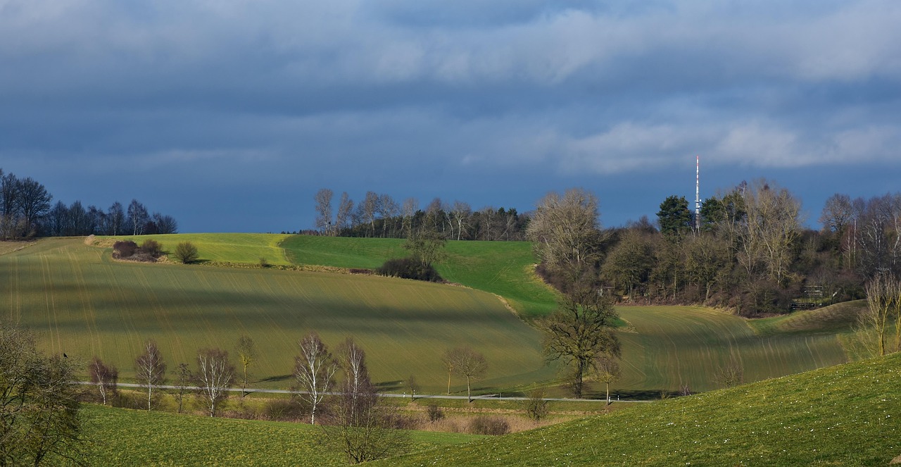 李朱濠最新動(dòng)態(tài)揭秘，多面魅力展現(xiàn)與未來展望