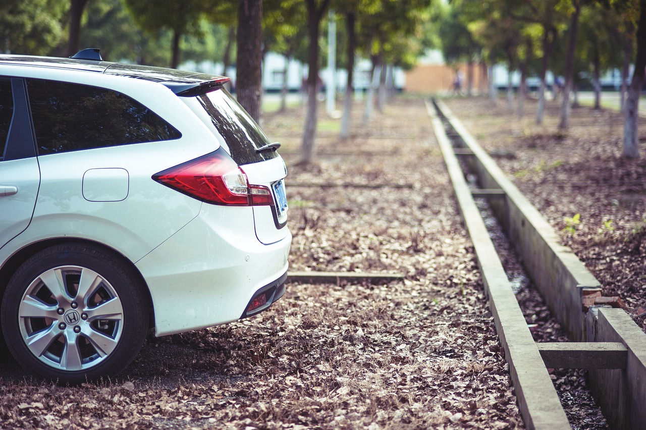 你是不是油餅 第14頁(yè)