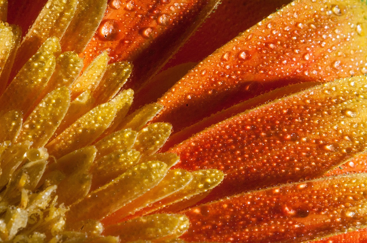 城開高速進(jìn)展順利，展望未來美好動(dòng)態(tài)更新