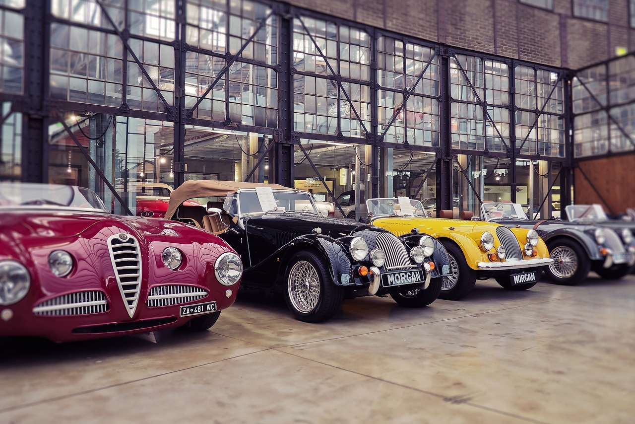 猛獅動態(tài)，展現(xiàn)力量與活力的獨(dú)特魅力