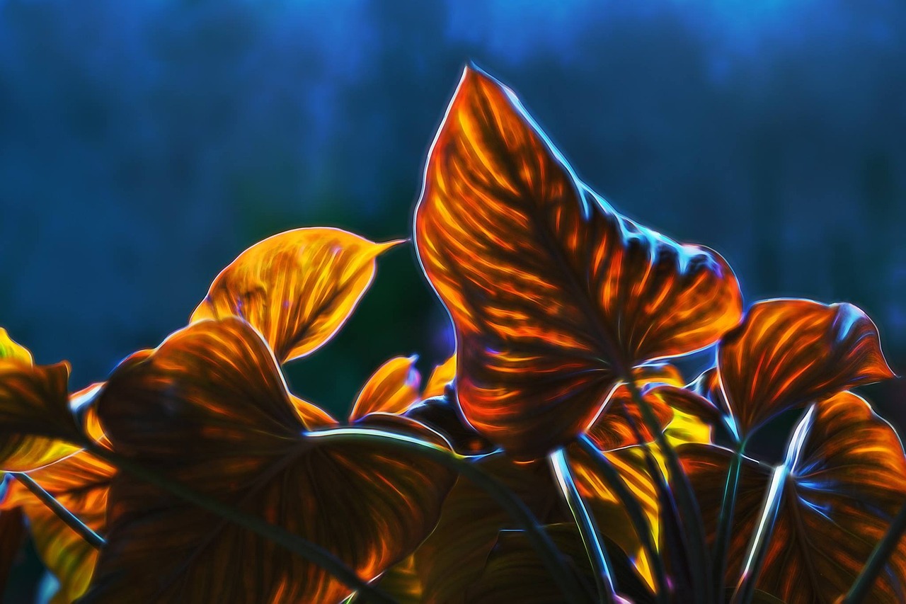 最新動漫下載，數(shù)字世界的奇幻探索之旅