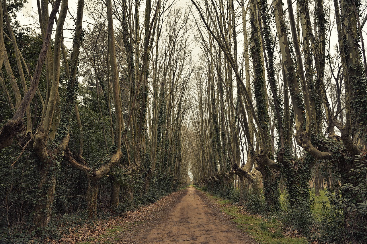 高血壓研究新動態(tài)，探索未來治療與預(yù)防的新路徑進(jìn)展
