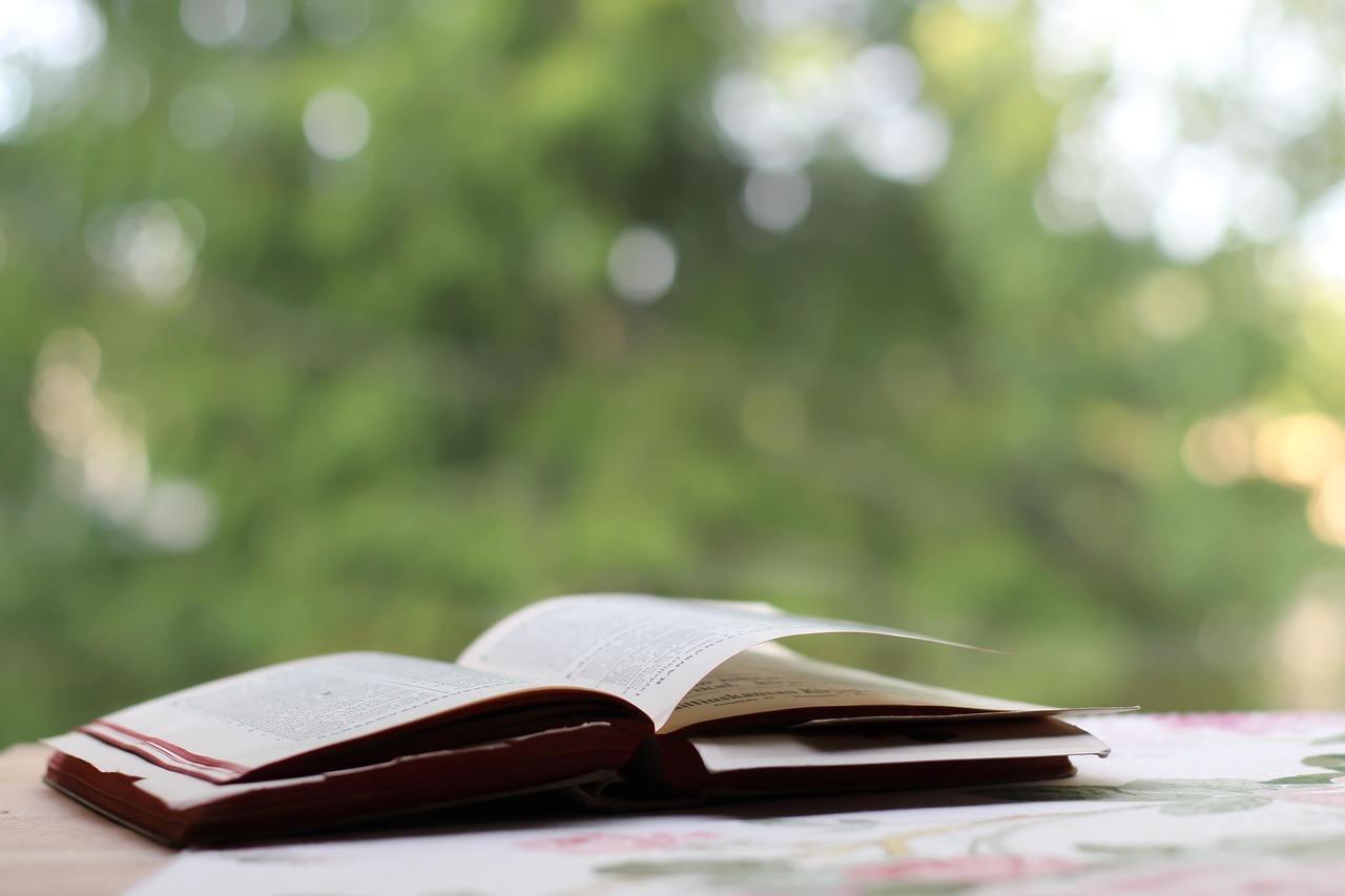 電視劇中的女人情緣，無法割舍的紐帶