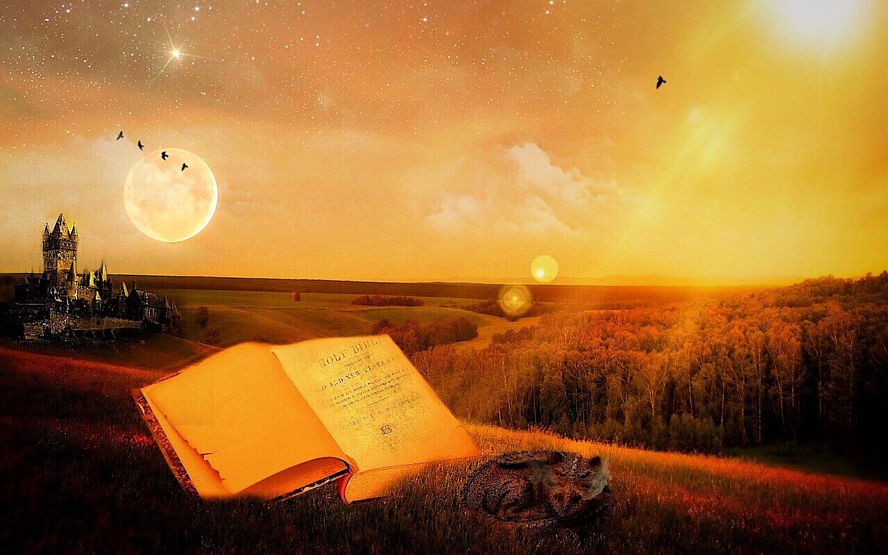 六道仙尊最新篇章揭秘，探尋神秘的仙途之旅