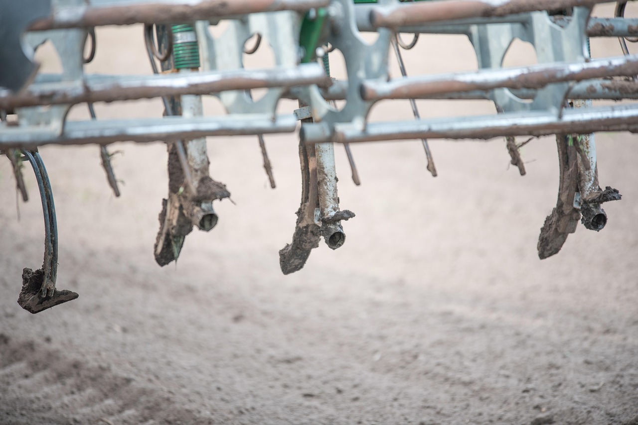 張小五農(nóng)民歌手，從田野到舞臺(tái)的嶄新動(dòng)態(tài)與華麗轉(zhuǎn)變之路