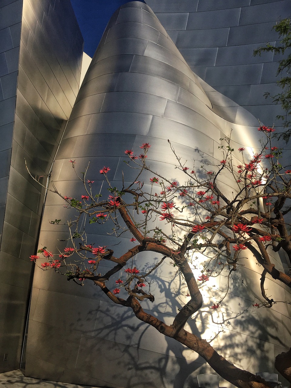 遷西動態(tài)更新，把握城市發(fā)展的脈搏，展望美好未來