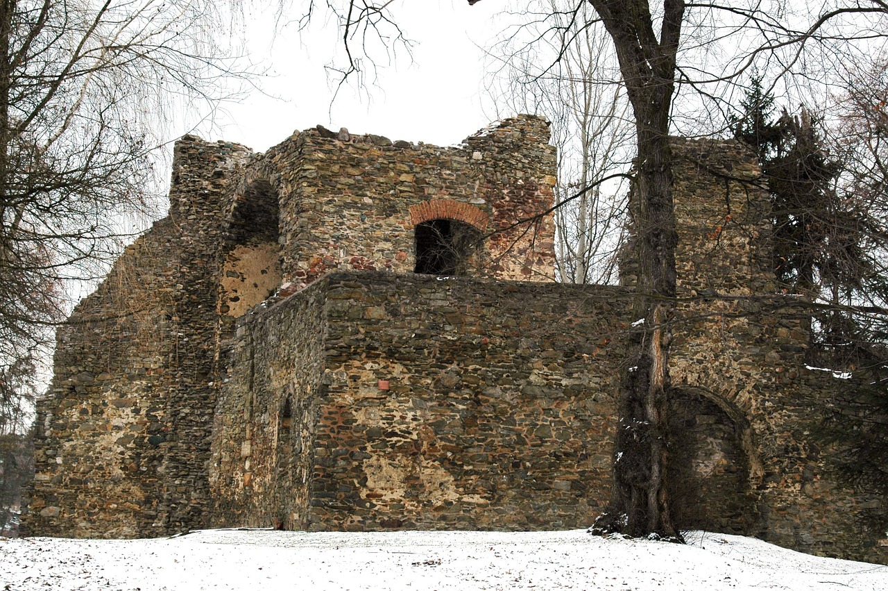 寧波最新通告，引領(lǐng)城市發(fā)展的最新動(dòng)態(tài)與重大舉措