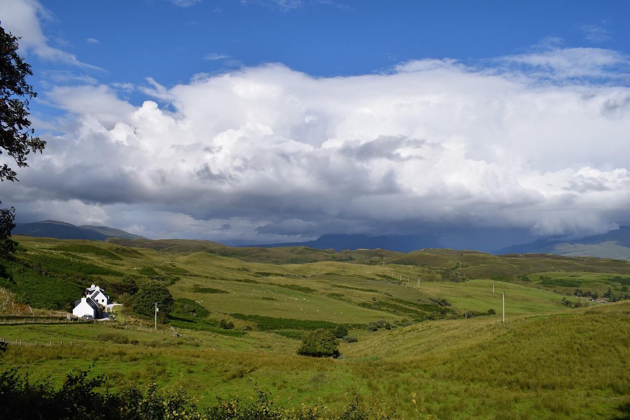 英雄聯(lián)盟最新資訊概覽與動(dòng)態(tài)更新