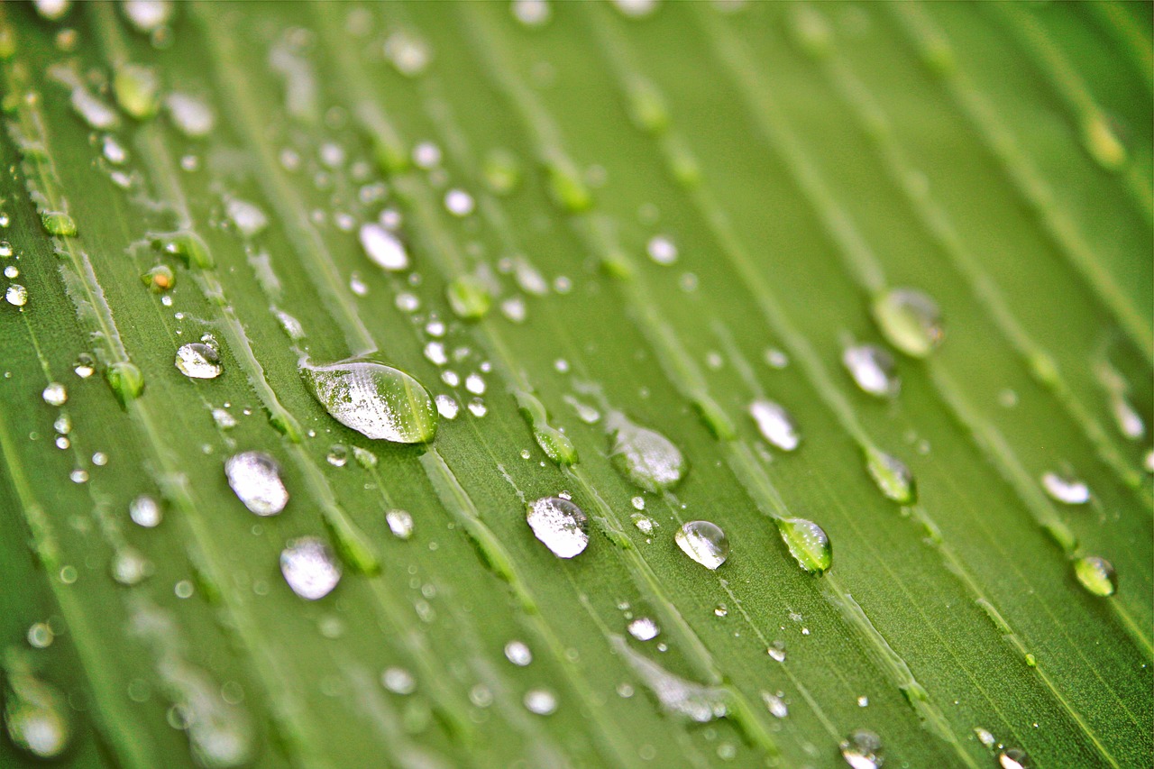 衡水水岸，揭秘城市發(fā)展的最新篇章，掌握最新資訊動(dòng)態(tài)