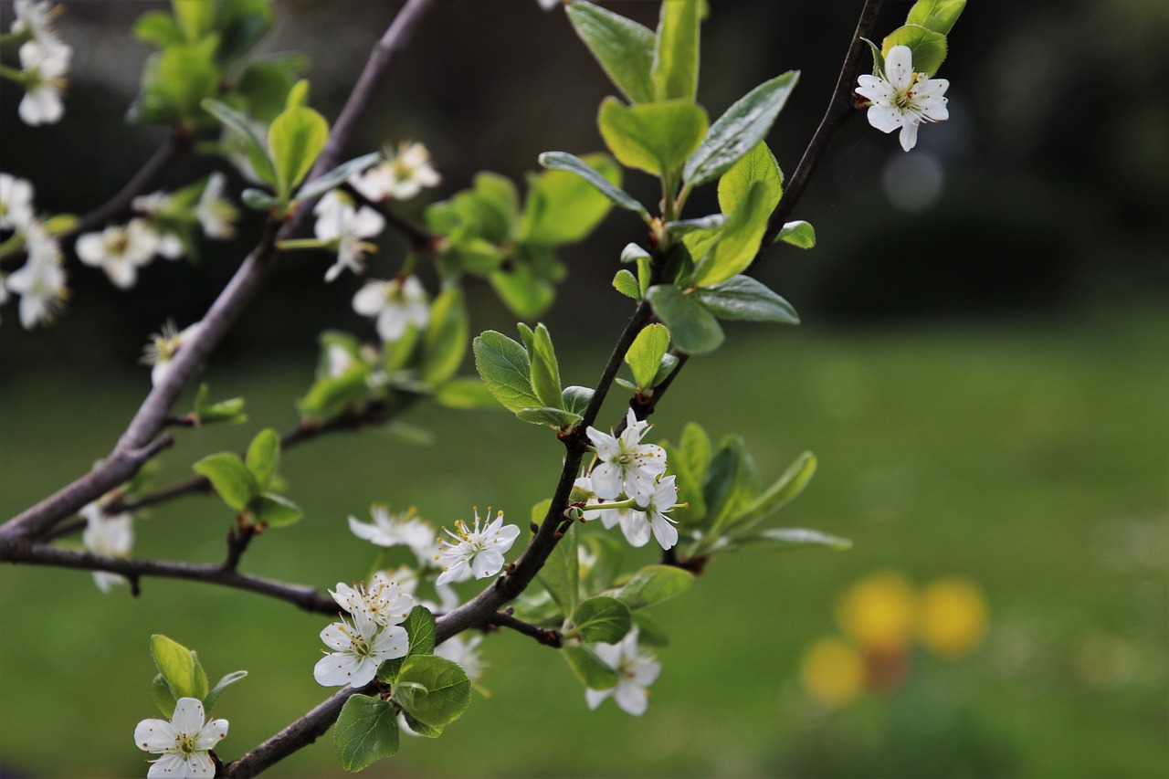 杞縣教師招聘最新動態(tài)，機(jī)遇與挑戰(zhàn)并存，教育事業(yè)蓬勃發(fā)展勢頭強(qiáng)勁
