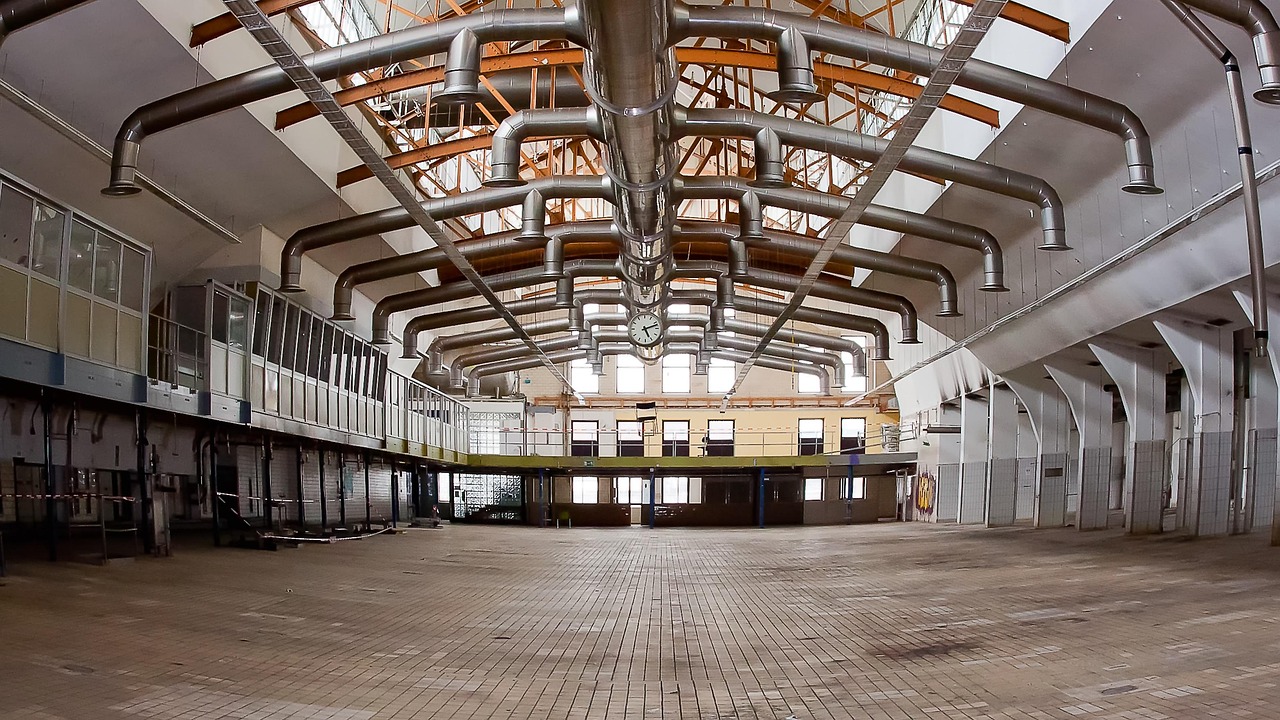 樂視最新動態(tài)，引領(lǐng)數(shù)字娛樂新時代的先鋒資訊