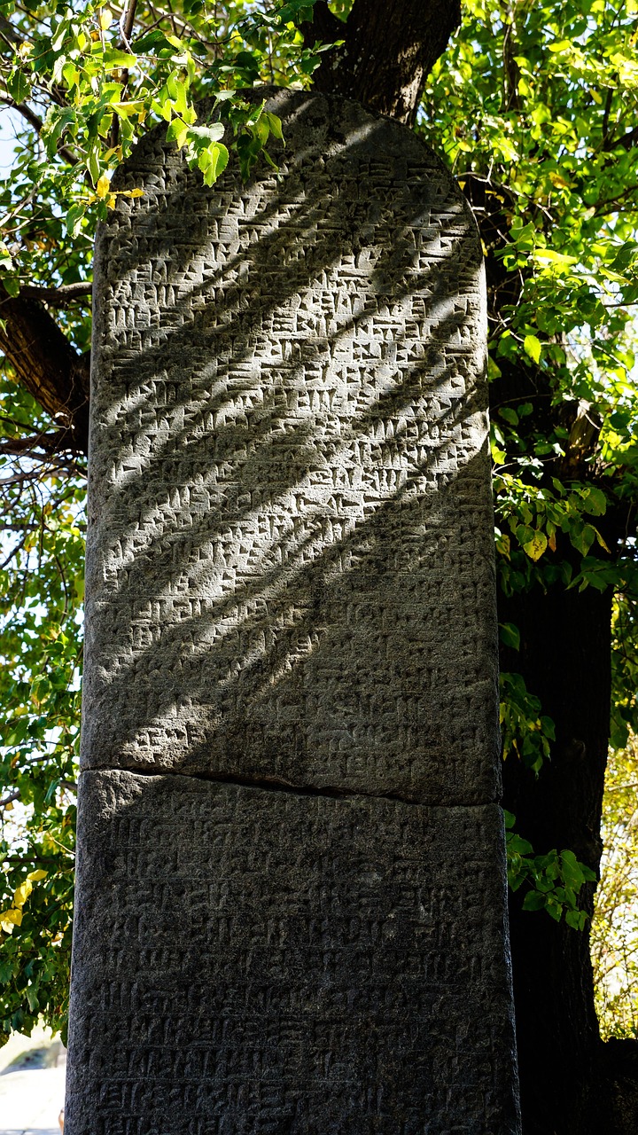 王者世冠最新動態(tài)，榮耀之巔的英雄之戰(zhàn)