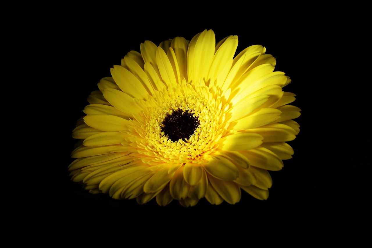 望城明發(fā)國(guó)際最新資訊概覽，掌握最新動(dòng)態(tài)與資訊！