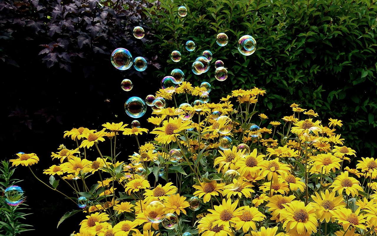 2025年2月 第71頁(yè)