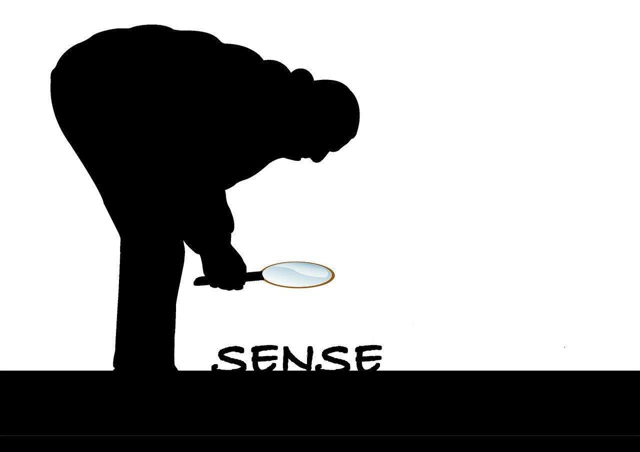 獨(dú)特的觀影態(tài)度背后的文化反思，對(duì)電影的誤解與自我探索