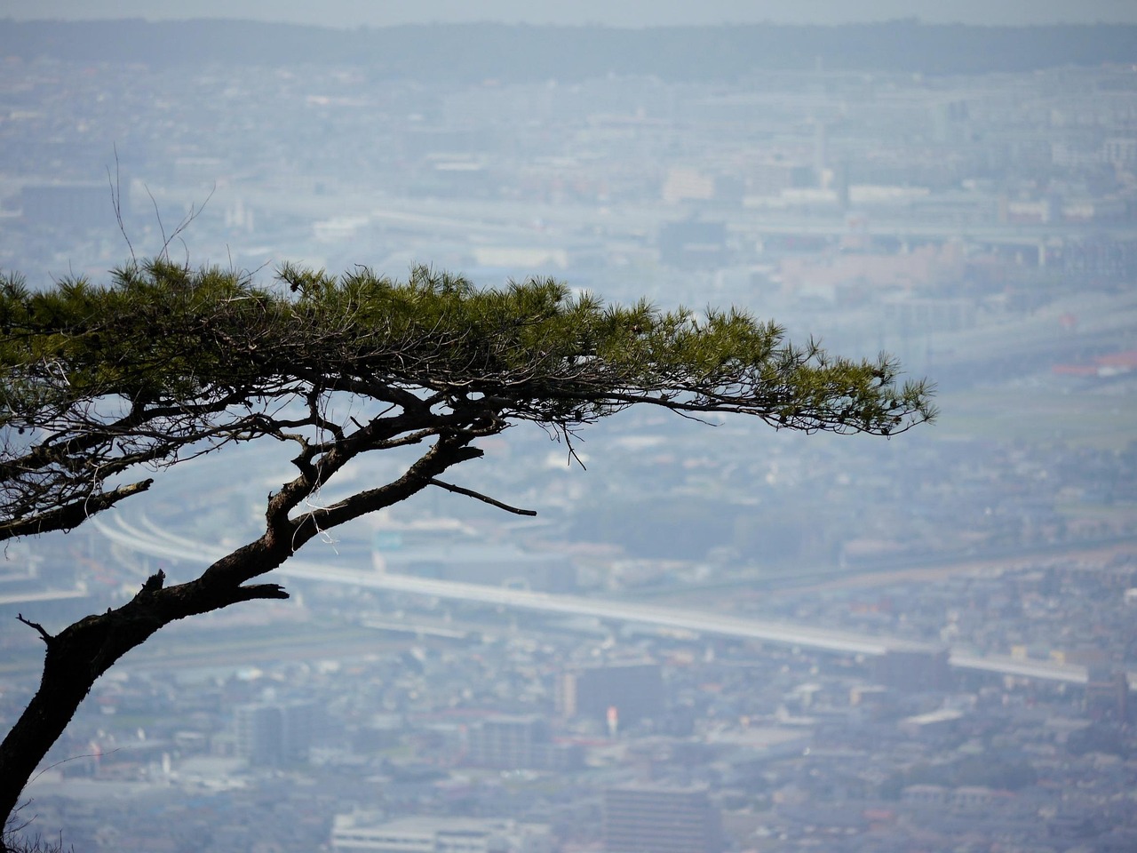 佐佐木惠理 第12頁