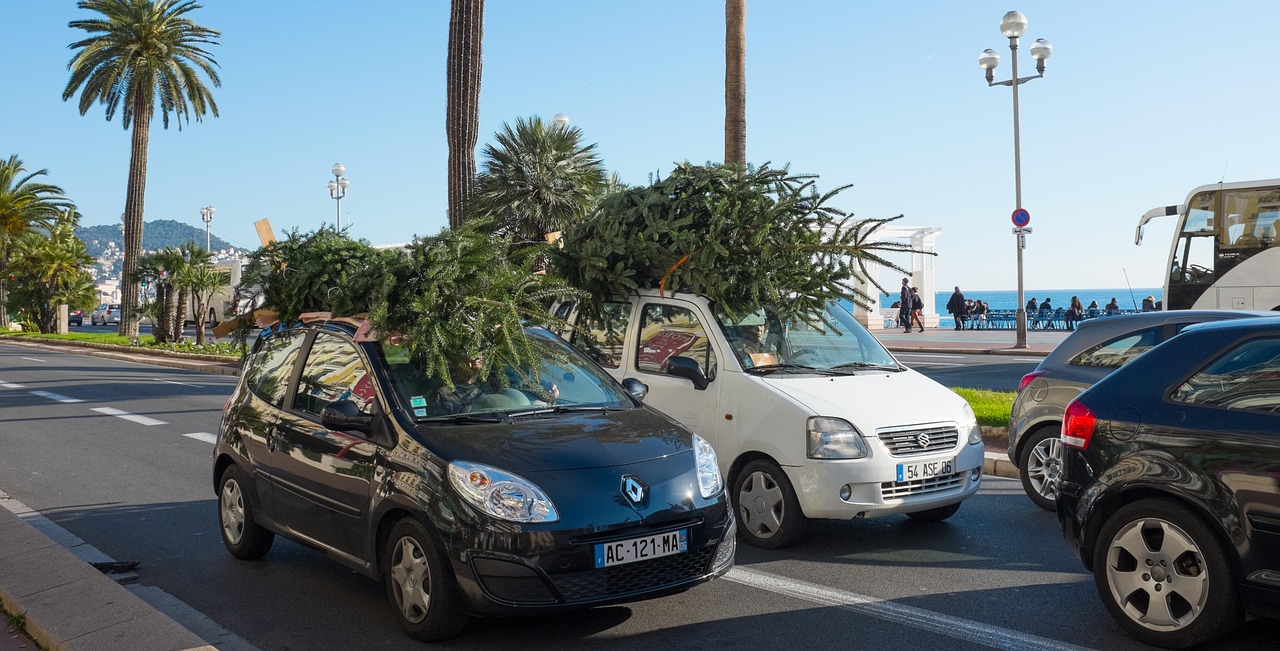 一念花開 第12頁