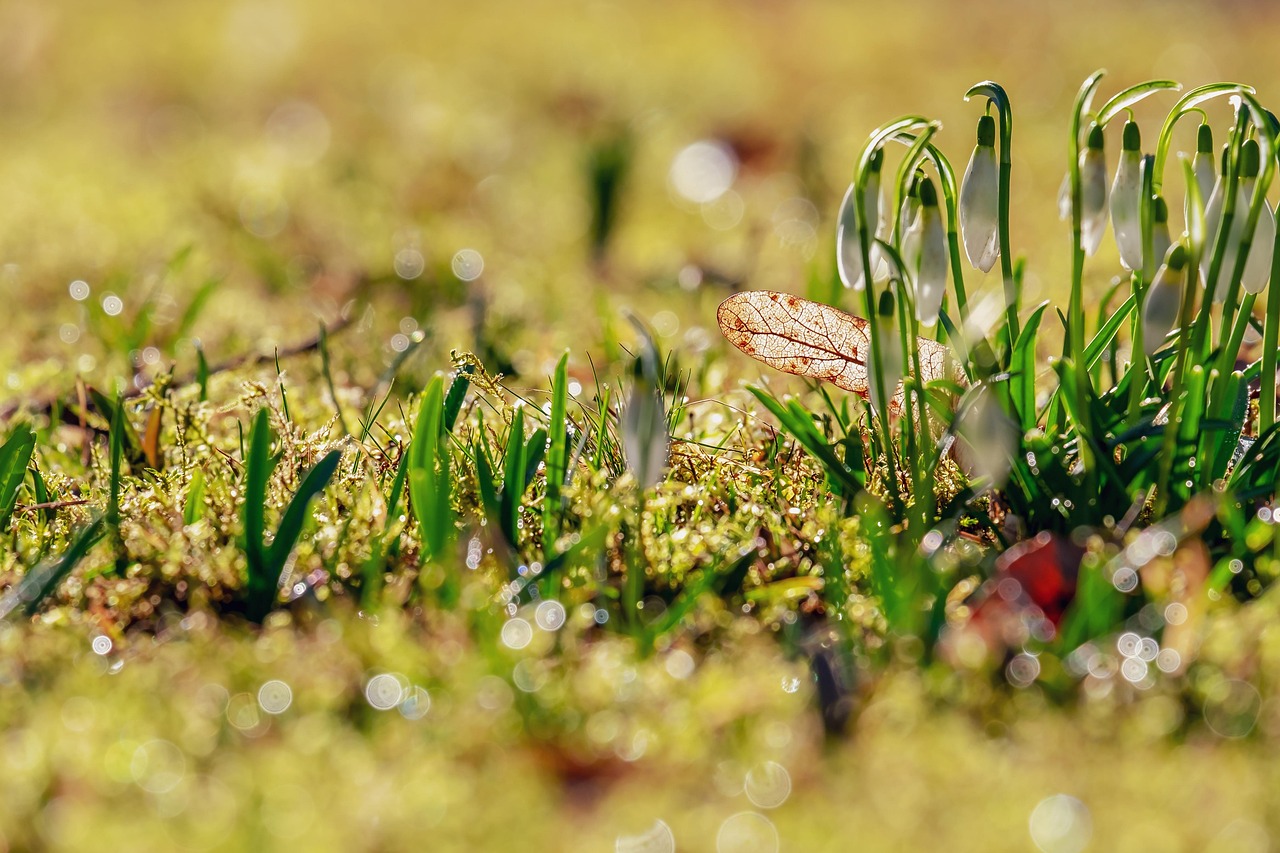 百天風(fēng)采照記錄生命美好瞬間，留下珍貴回憶的痕跡