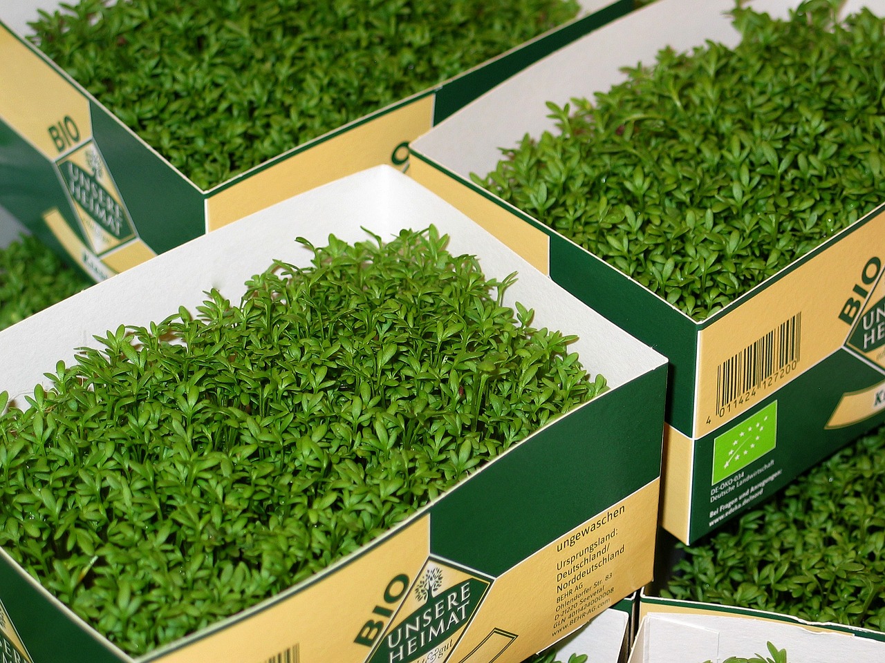 2025年2月 第12頁(yè)