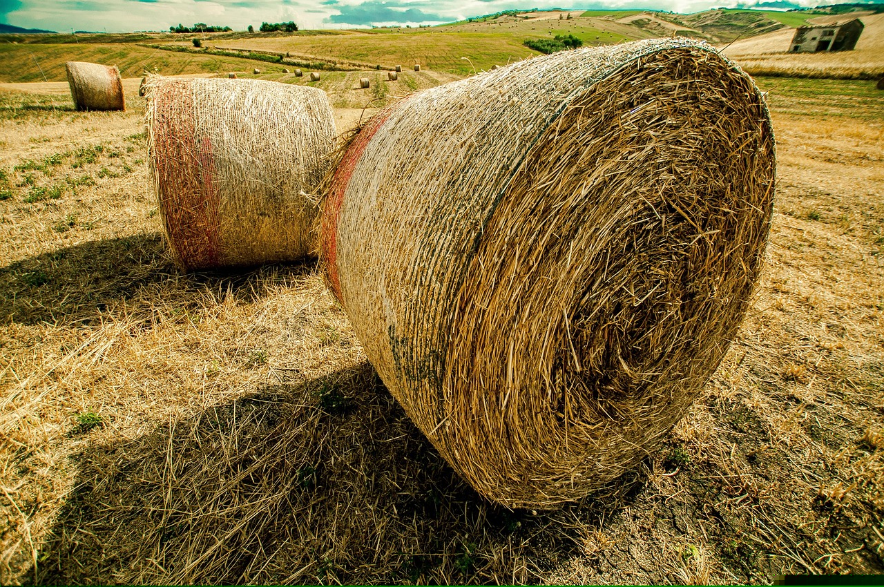 山西五臺縣委書記的最新動態(tài)，引領(lǐng)變革的力量