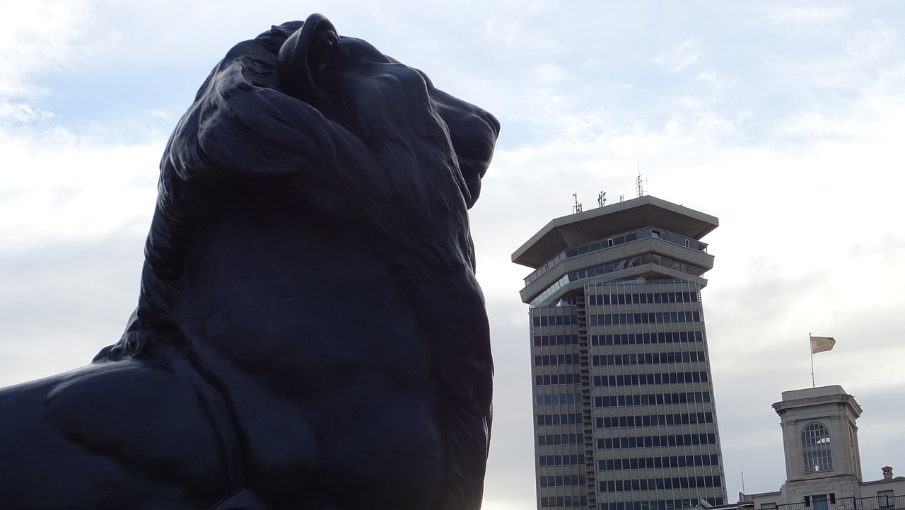 左岸上城最新動態(tài)，城市新篇章的啟航