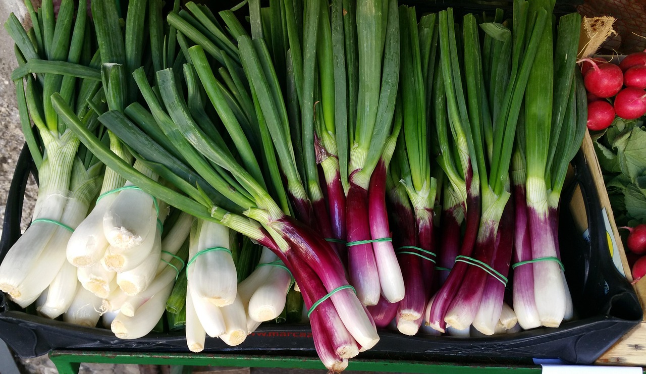 山東西葫蘆今日價格與市場行情分析