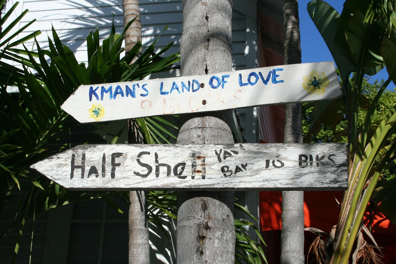 我會(huì)異常的開心 第11頁