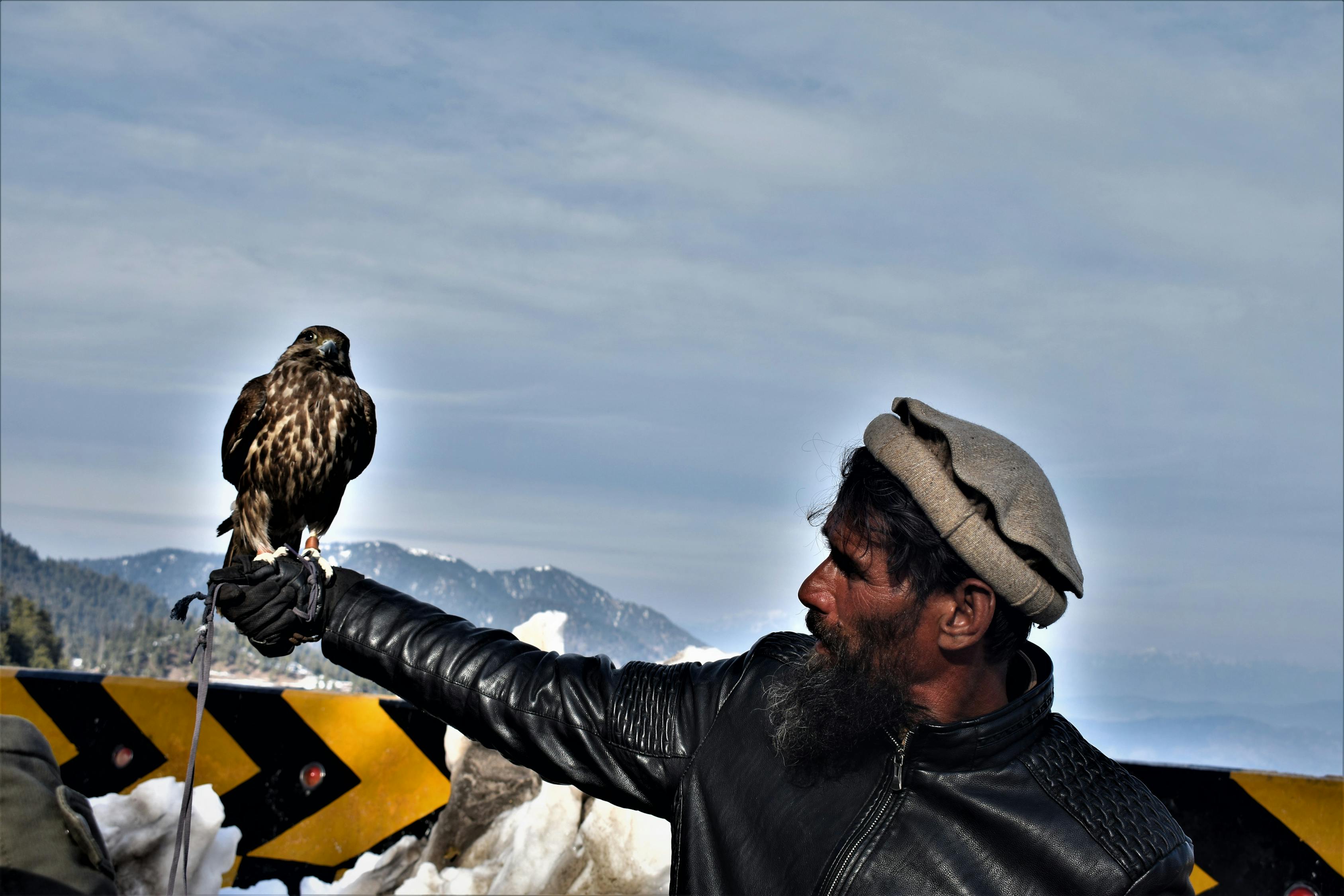 末世狂飆戰(zhàn)車(chē)最新篇章，未知領(lǐng)域的生存挑戰(zhàn)探索