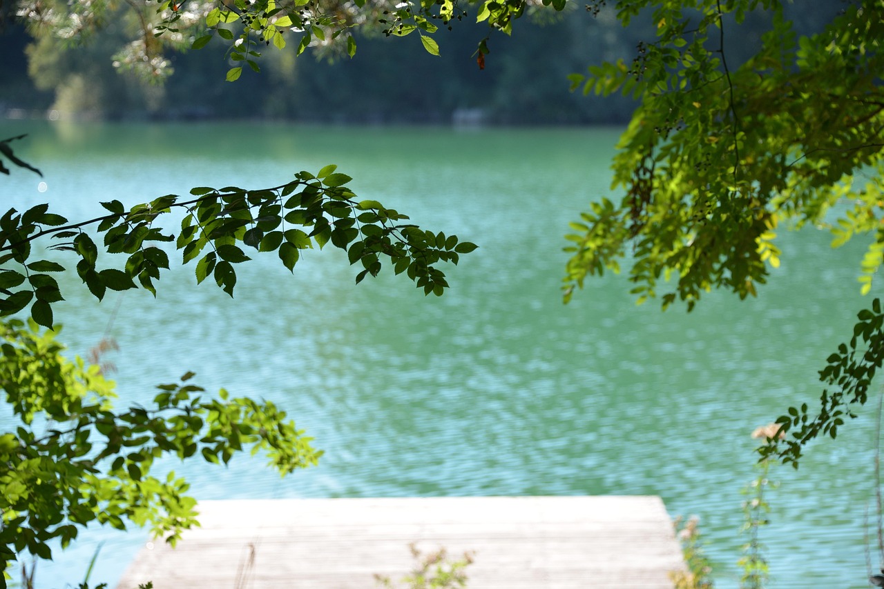 手機最新動態(tài)，革新、挑戰(zhàn)與未來展望展望報告