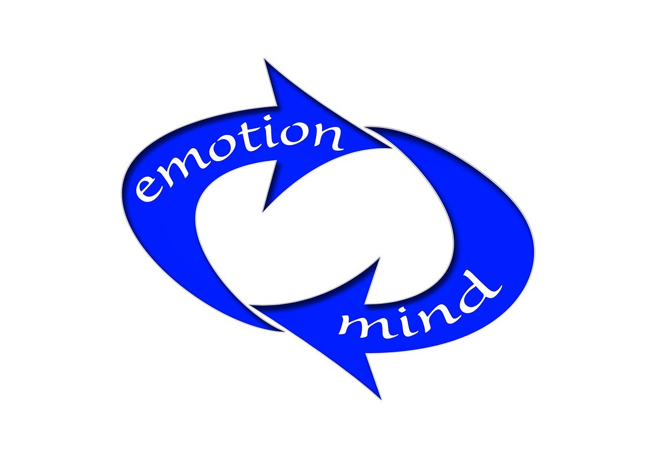 金麒麟上市，企業(yè)騰飛的新起點(diǎn)，開(kāi)啟資本市場(chǎng)新篇章